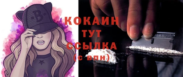 ГАЛЛЮЦИНОГЕННЫЕ ГРИБЫ Аркадак