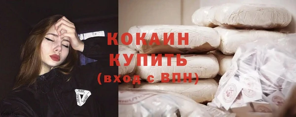 ГАЛЛЮЦИНОГЕННЫЕ ГРИБЫ Аркадак