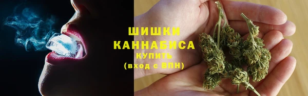 ГАЛЛЮЦИНОГЕННЫЕ ГРИБЫ Аркадак