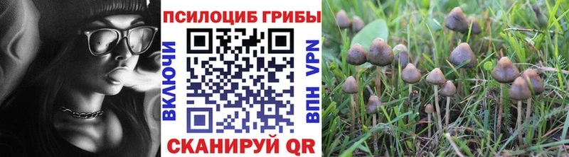 купить   Ленинск  Псилоцибиновые грибы Magic Shrooms 