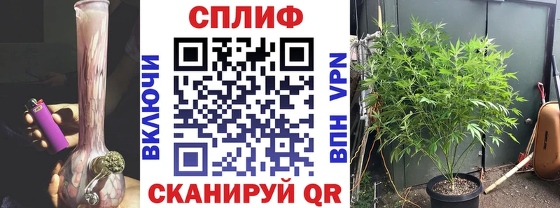 где продают   Ленинск  Марихуана семена 